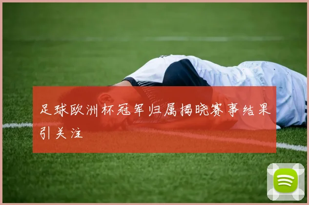 足球欧洲杯冠军归属揭晓赛事结果引关注