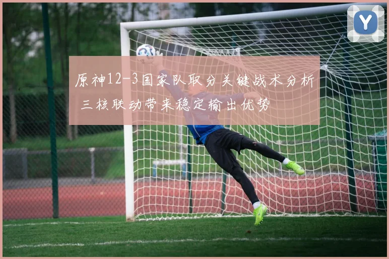原神12-3国家队取分关键战术分析 三核联动带来稳定输出优势