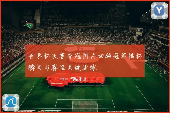 世界杯决赛夺冠图片回顾冠军捧杯瞬间与赛场关键进球