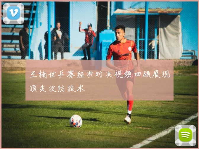 王楠世乒赛经典对决视频回顾展现顶尖攻防技术