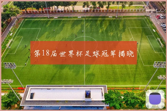 第18届世界杯足球冠军揭晓