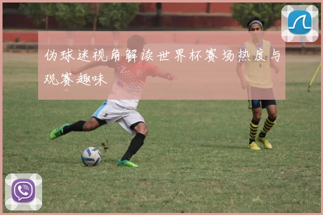 伪球迷视角解读世界杯赛场热度与观赛趣味